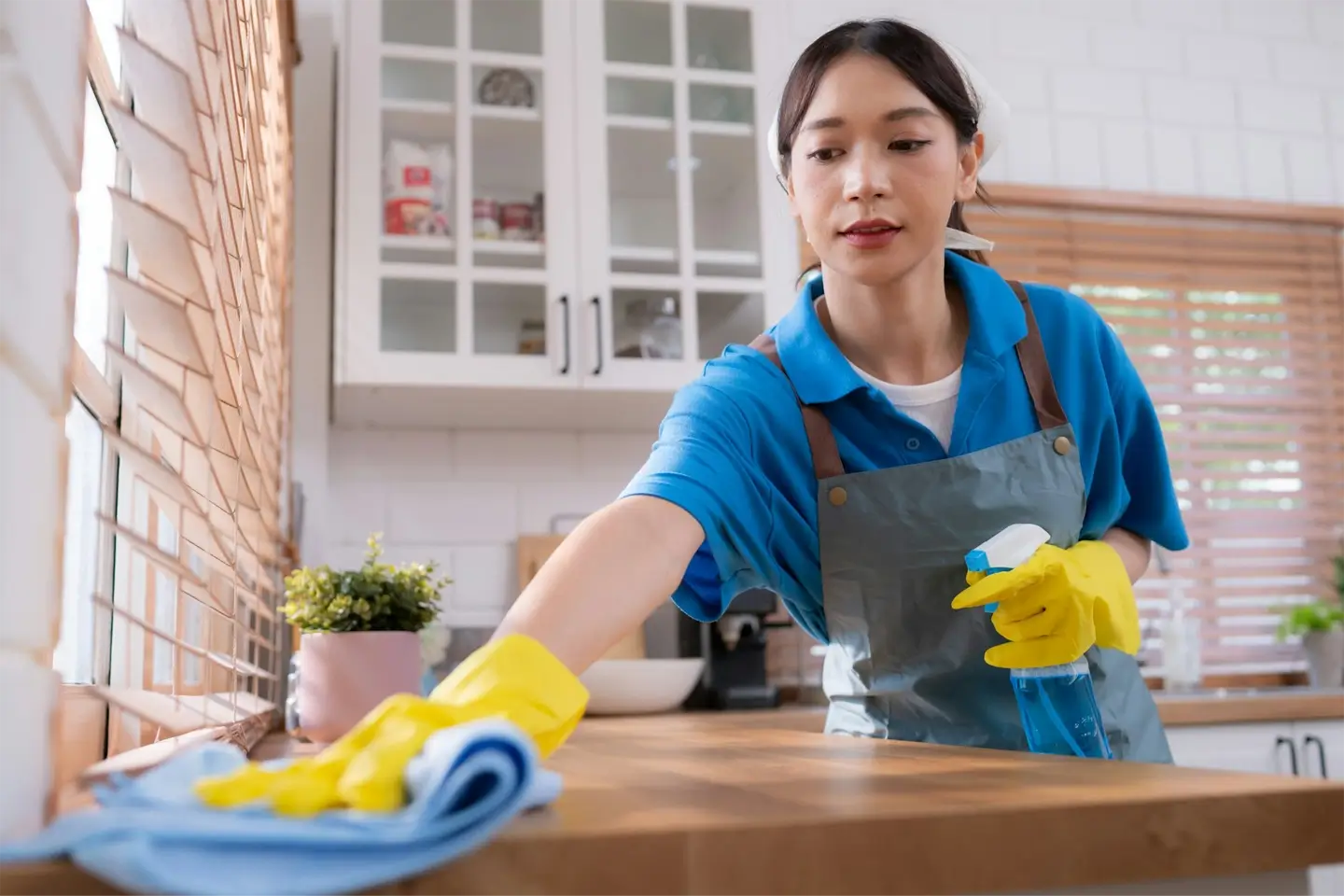 The Transformative Power of Professional Cleaning Services